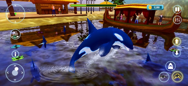 Killer Whale - Play Online on SilverGames 🕹️