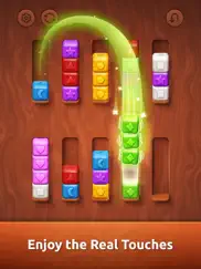 colorwood sort puzzle game ipad images 2