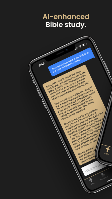 Insight Bible Screenshot