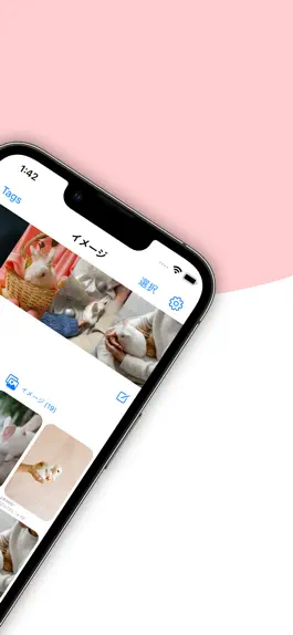 Game screenshot RabbitBox - Image Organizer hack