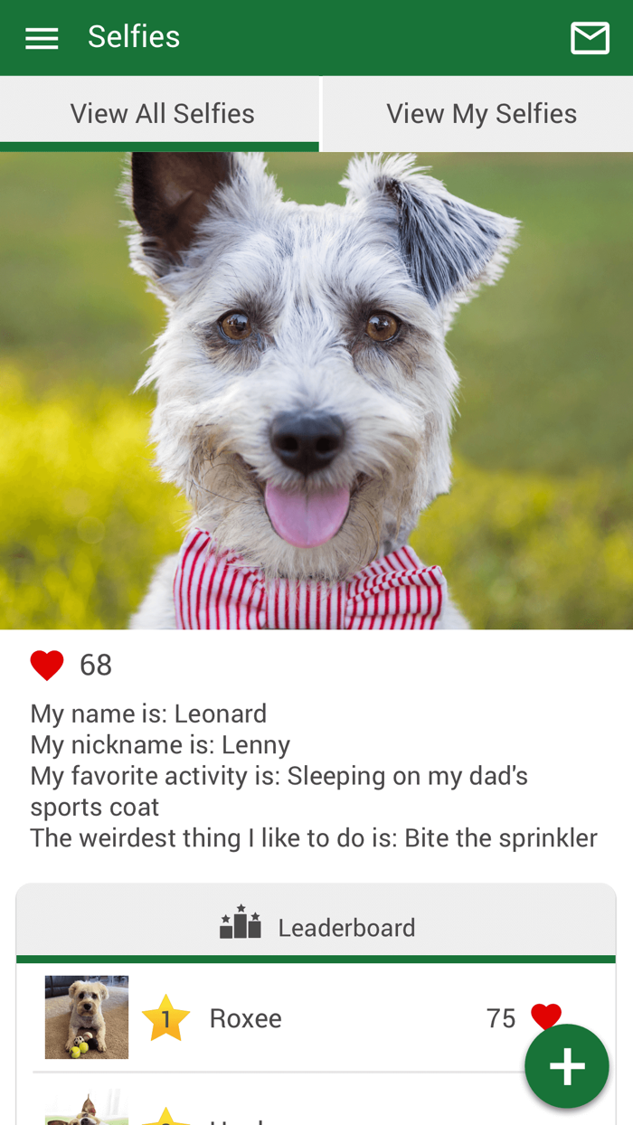 Satilla Animal Hospital