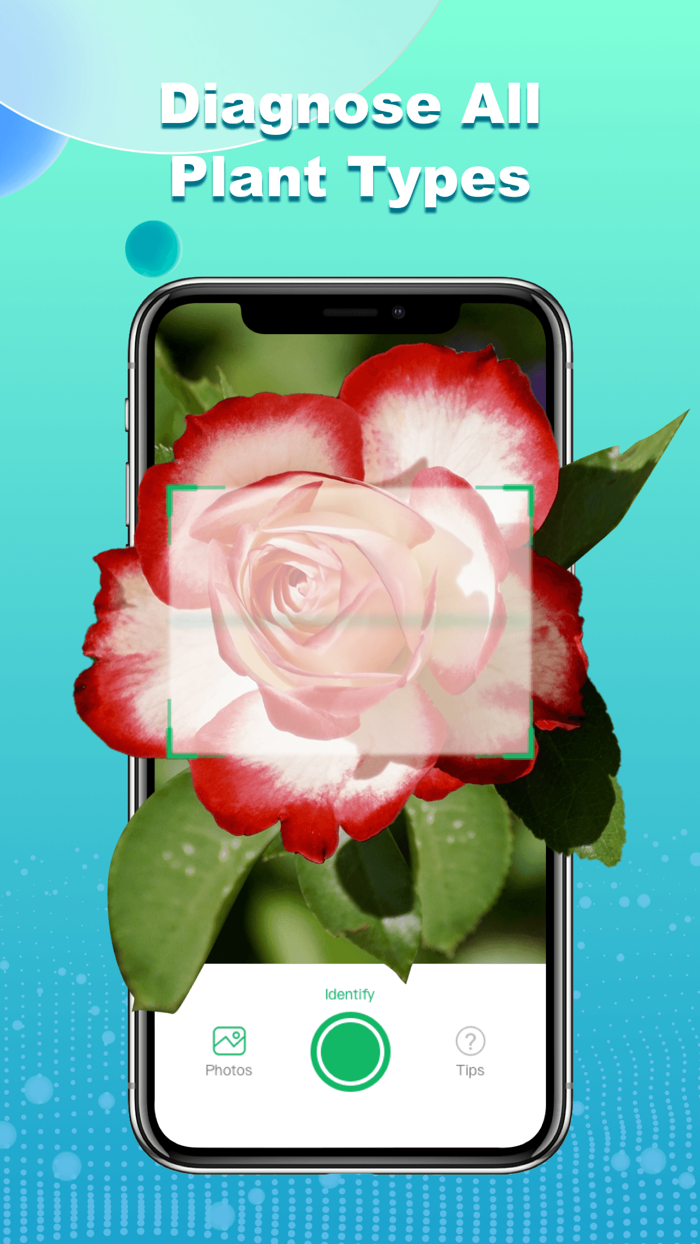 ChatPlant - Plant Identifier