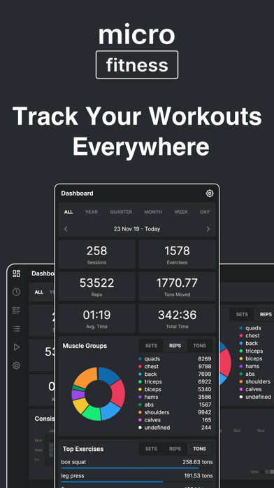Micro Fitness Workout Tracker Screenshot