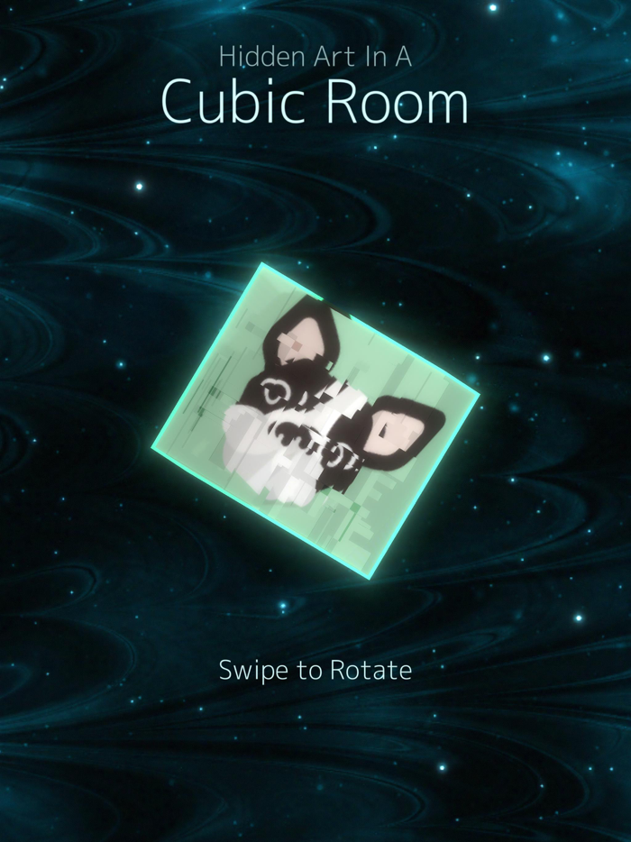 Hidden Art in a Cubic Room