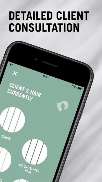 House of Color by Schwarzkopf