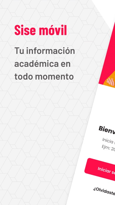 SISE Movil Screenshot