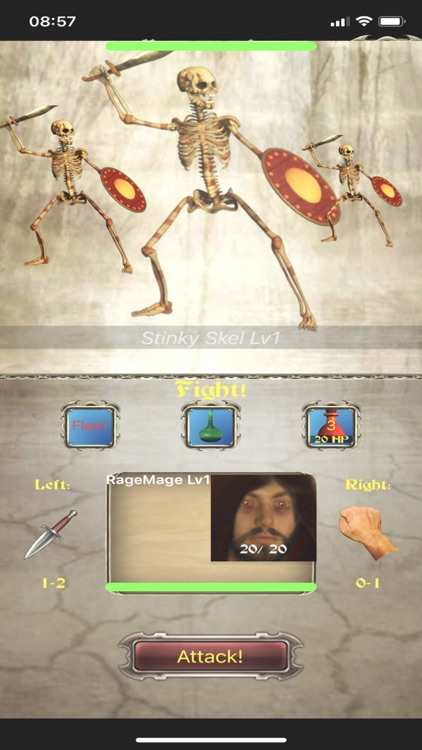 Shadow Quest Adventure RPG screenshot-4