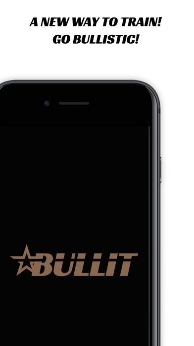 BULLIT USA Screenshot