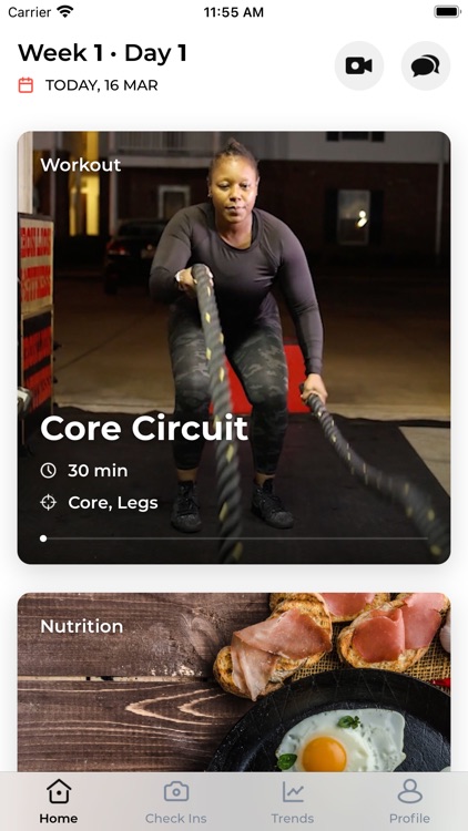 Iron Lion Fitness LLC