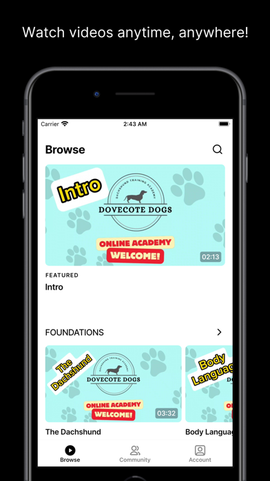 Dovecote Dogs Academy Screenshot
