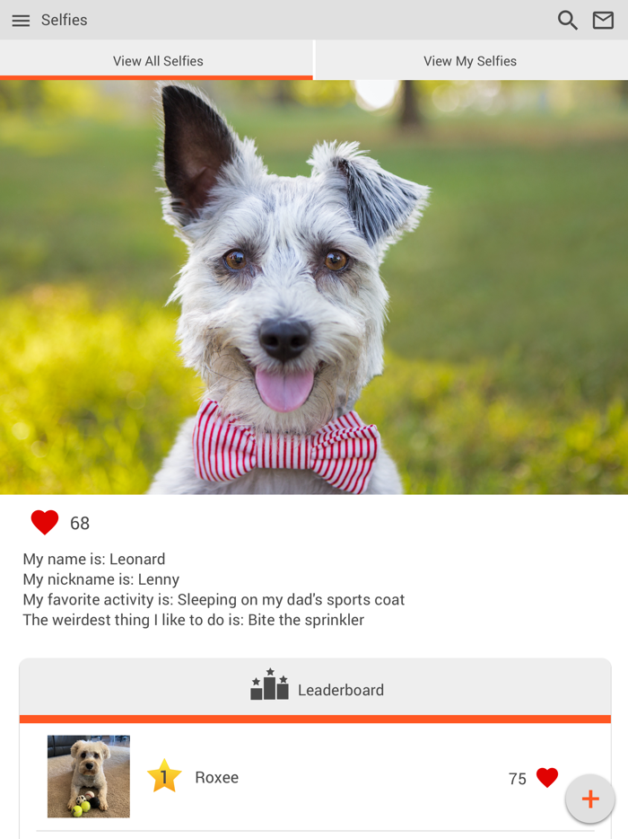 North Kenilworth Vet