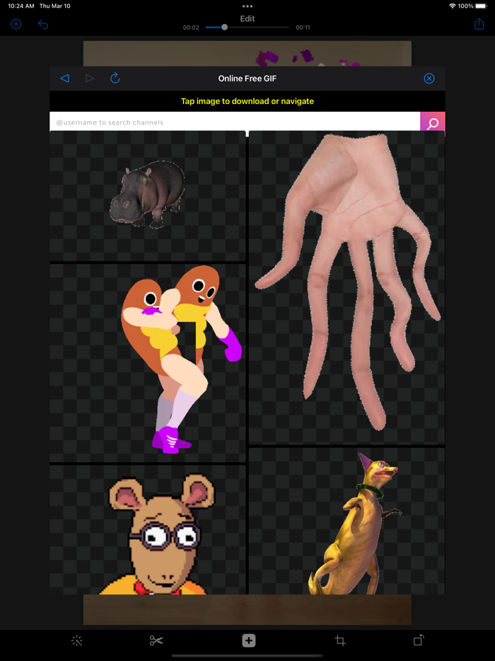 Add GIF to Video and Photo