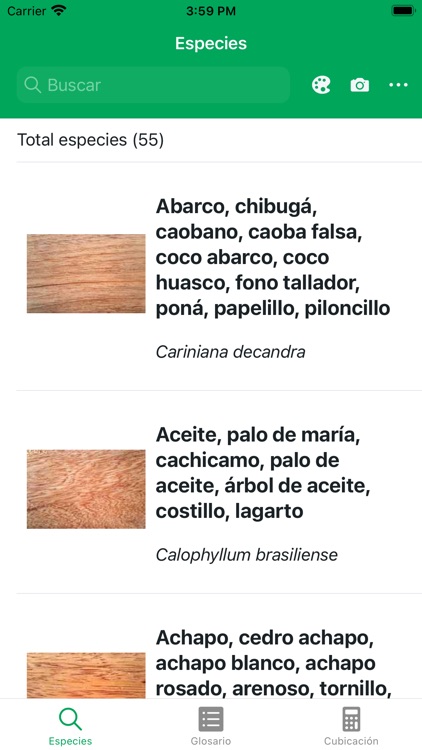 Control y vigilancia de madera