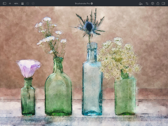 Brushstroke Pro for iPad iPad screenshot 4 - Photo & Video app