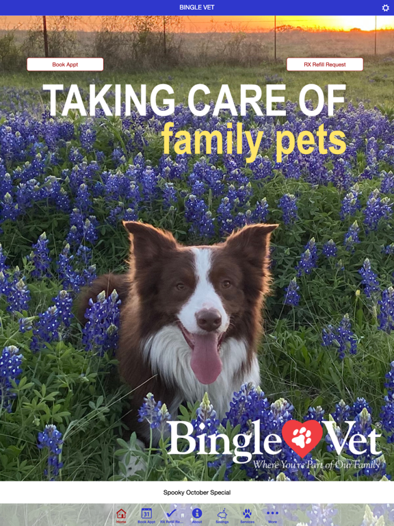 Screenshot #4 pour Bingle Vet