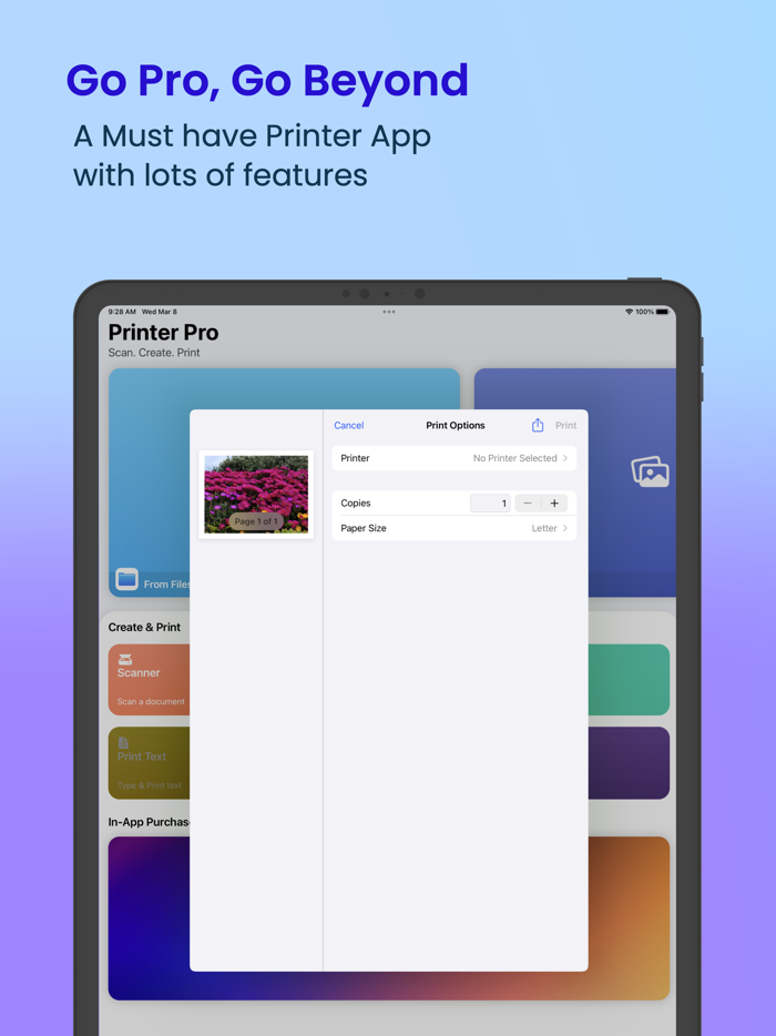 Printer Pro and Scanner