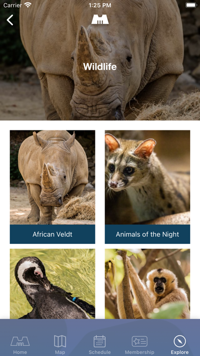Memphis Zoo Screenshot