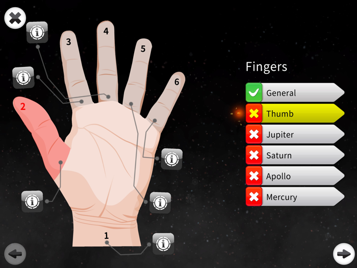 Palm Reading Premium