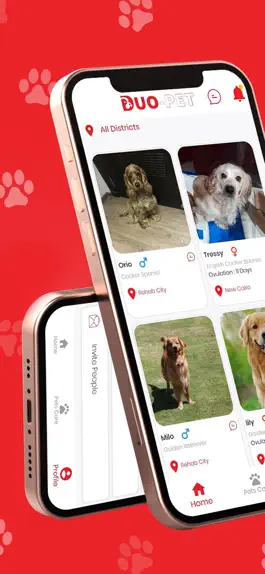 Game screenshot Duo-Pet mod apk