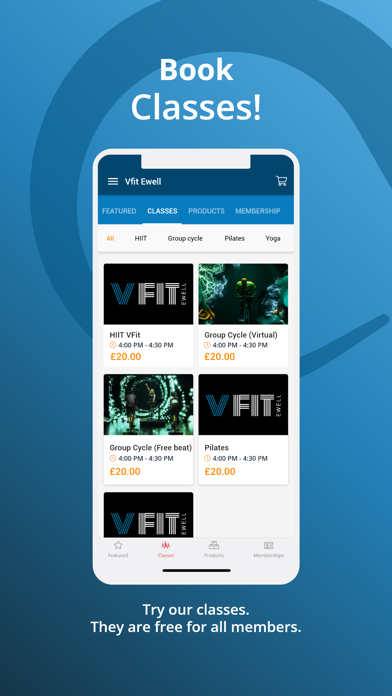 Vfit Ewell Screenshot