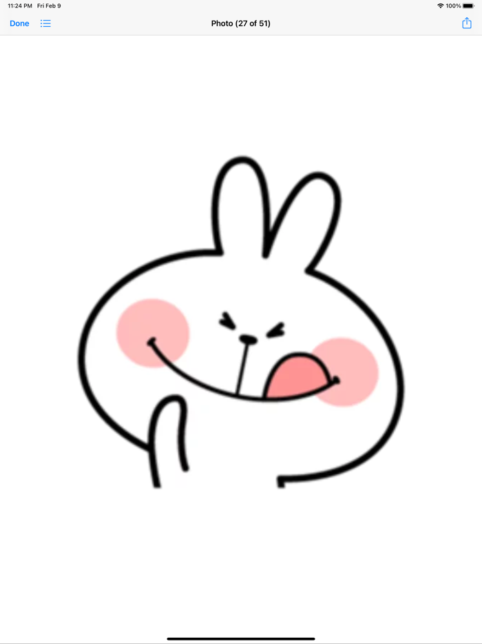 TuaGom Cute Rabbit Pack3