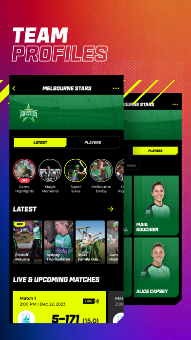 Big Bash Screenshot