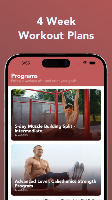 Calisthenics Workout Plan Screenshot