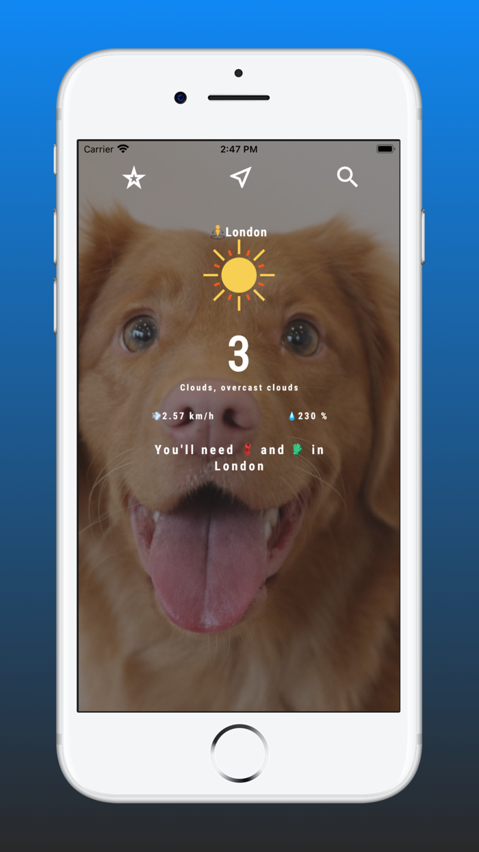 Weather Pets Wallpapers