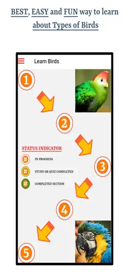 Game screenshot Types Of Birds mod apk