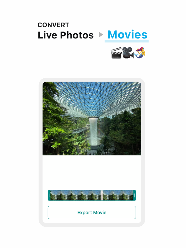 Lively - Photos to GIF Screenshot