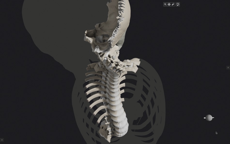 #1. Biomechanics of the Spine (macOS) Podle: Anatomy Standard