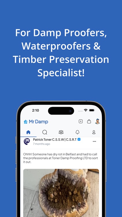 Mr Damp Social Network