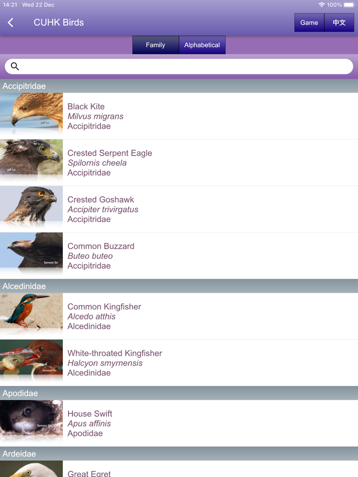 中大鳥  Birds of CUHK