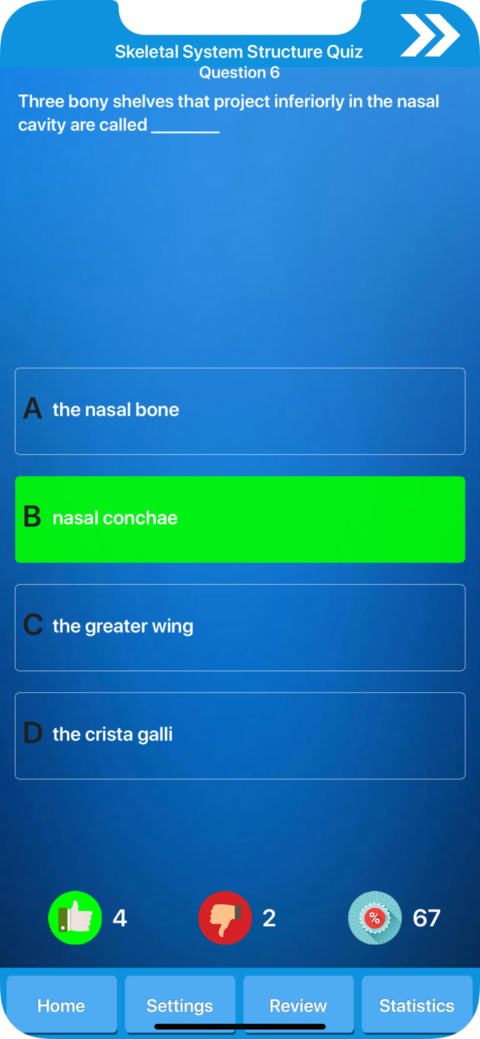 Skeletal System Anatomy