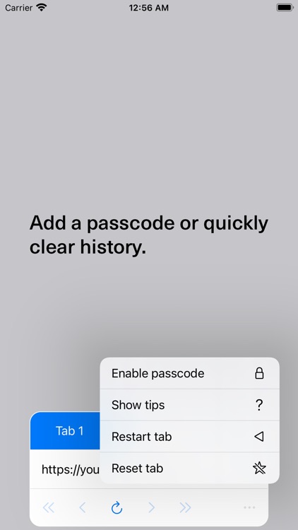 Plainly - Full Screen Browser screenshot-4