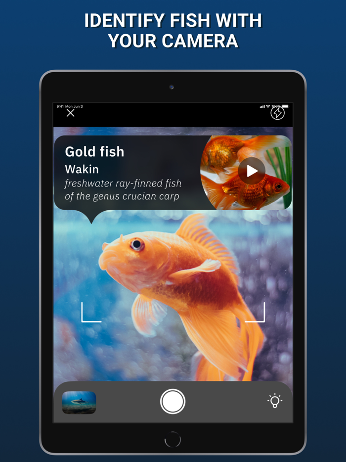 Fish Finder and Identifier App
