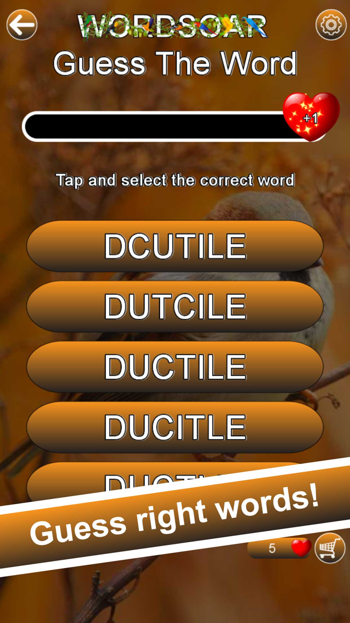 Word Soar - Fun Puzzle Game