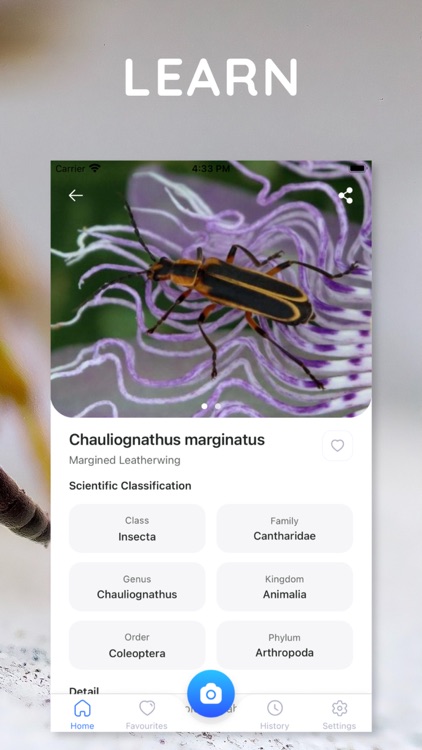 AI Photo App - Bug Identifier screenshot-3