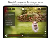 live tv fernsehen ip tv ipad bildschirmfoto 2