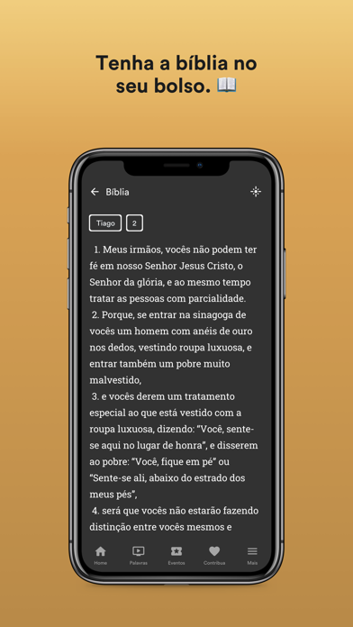 Screenshot #3 pour IPPD