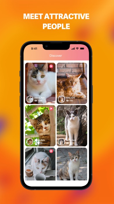 KittyLink Screenshot