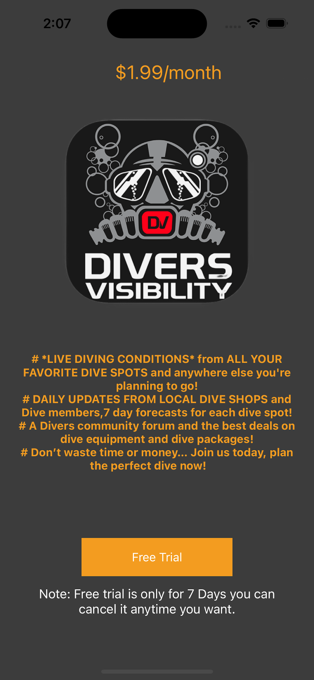 Diver's Visibility