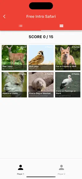 Game screenshot Photo Fun Safaris - Small Zoos hack