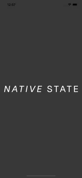 Game screenshot Native State mod apk