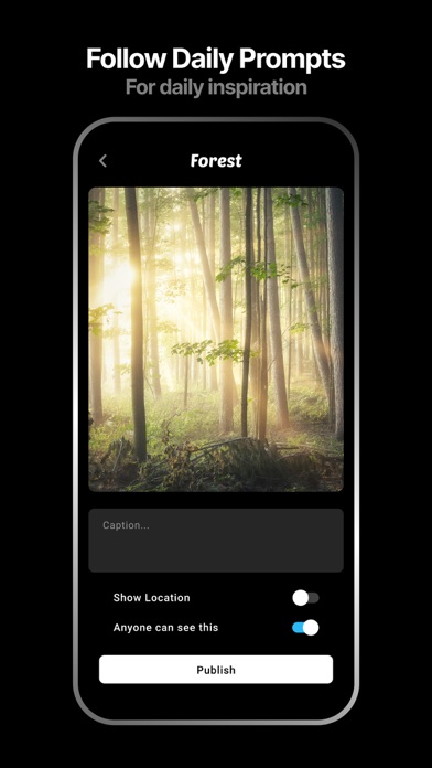 Promptly - Daily Photo Journal Screenshot