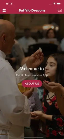 Game screenshot Buffalo Deacons mod apk