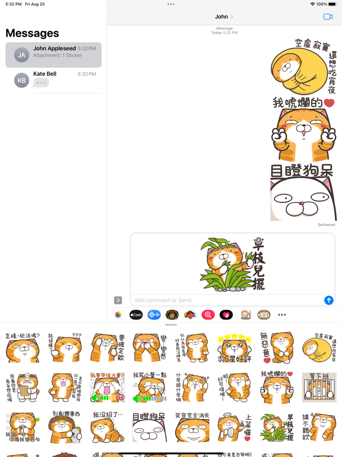 白爛貓40 超活潑