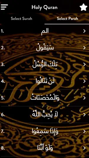 Abdul Rahman Sudais screenshot 3