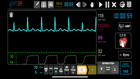 DART Sim for iPhone screenshot