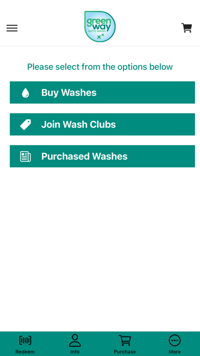 GreenWay Car Wash Screenshot